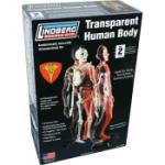 Lindberg Models LND71305 TRANSPARENT HUMAN BODY 1/6 SCALE KIT