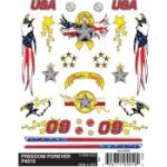 PINECAR PIN4019 FREEDOM FOREVER DRY TRANSFER