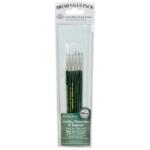 Royal & Langnic RBMRSET9139 Value Brush Set-6pc Taklon Detail Set