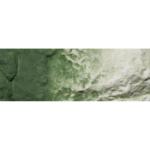 WOODLAND SCENIC WOOC1228 Earth Color Undercoat, Green/8oz