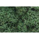 WOODLAND SCENIC WOOL162 Lichen Bag, Light Green/82 cu. in.