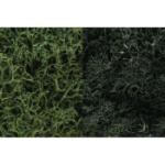 WOODLAND SCENIC WOOL168 Lichen Bag, Dark Green Mix/165 cu. in.