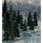 WOODLAND SCENIC WOOTR1581 Value Trees, Conifer 4-6" (24)