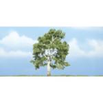 WOODLAND SCENIC WOOTR1609 Premium Sycamore Tree, 4"