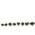 WOODLAND SCENIC WOOTR3501 Classics Tree, Sun Kissed .75-1.25" (8)