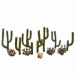 WOODLAND SCENIC WOOTR3600 Classics Tree, Cactus .5-2.5"(13)