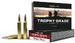 Nosler 60110 NOSLER TROPHY GRADE LR 26 NOSLER 129GR ABLR 20RD 10BX/CS