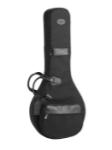 Reunion Blues Tenor Banjo Bag, Black 1680 Ballistic Fabric ***VINTAGE***