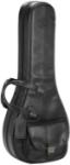 Reunion Blues (A) Style Mandolin Bag, Classic Black Leather  ***VINTAGE***