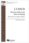 St. Matthew Passion: Here Yet Awhile