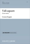 Vidi aquam - I saw water
