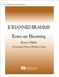 Roses are blooming (Rosen in Bluethe) Op. 44/7