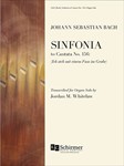 Sinfonia To Cantata #156