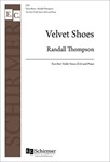 Velvet Shoes