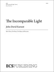 The Incomprehensible Light
