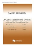 A Curse, a Lament, and a Vision: 1. Job's Curse