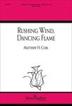 Rushing Wind Dancing Flame
