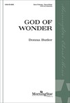 God of Wonder