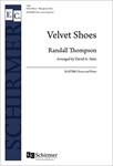 Velvet Shoes
