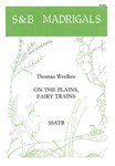 On the plains, fairy trains
