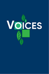 Voices - Guitar edition