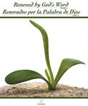 Renewed by Gods Word-Renovados por la palabra de Dios-Year A