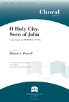 O Holy City, Seen of John