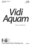 Vidi Aquam