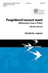 Peegeldused tasasest maast - Reflections from a Plain