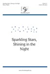 Sparkling Stars Shining In The Night