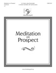 Meditation on Prospect - FS
