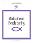 Meditation on Beach Spring