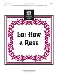 Lo How A Rose