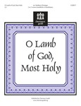 O Lamb Of God Most Holy