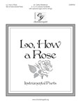 Lo, How a Rose