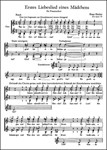 Erstes Liebeslied eines Madchens (Was im Netze? Schau einmal!) (aus "Morike-Chorliederbuch" op. 19)