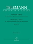 Ouverture fur drei Oboen, Fagott, Streicher und Basso continuo g-Moll TWV 55:g4