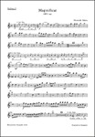 Magnificat SWV 468 -Composition for 2 instrumental choirs, Favoritchoir (solo), 2 Capellchoirs (tutt