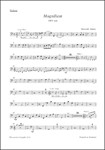Magnificat SWV 468 -Composition for 2 instrumental choirs, Favoritchoir (solo), 2 Capellchoirs (tutt
