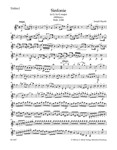 Symphony G major Hob. I:100 "Military"