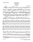 Symphony G major Hob. I:100 "Military"