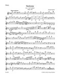 Symphony C minor Hob. I:95