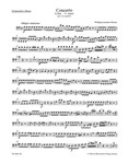 Concerto for Flute and Orchestra G major K 313 (285c)