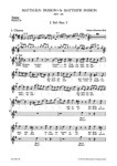 St. Matthew Passion BWV 244