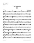 Jesu, meine Freude for five-part Mixed choir E minor BWV 227 -Motet-