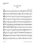 Jesu, meine Freude for five-part Mixed choir E minor BWV 227 -Motet-