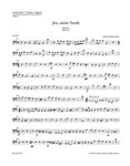 Jesu, meine Freude for five-part Mixed choir E minor BWV 227 -Motet-