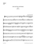 Lobet den Herrn, alle Heiden BWV 230 -Motet for vier-Part Mixed Choir-