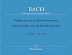Organ Chorales From The Rudorff Collect
