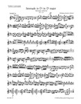 Serenade D major K. 239 (Serenata notturna)